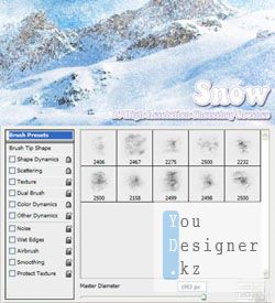 10_snow_brushes_1290367191.jpg (17.83 Kb)
