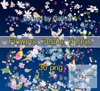 al_10_petalsflowershearts.jpg (41.06 Kb)