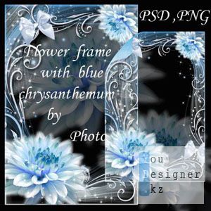 blue_chrysanthemum.jpg (29.31 Kb)