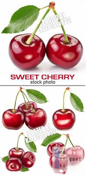 cherry0208_1312221417.jpg (32.25 Kb)