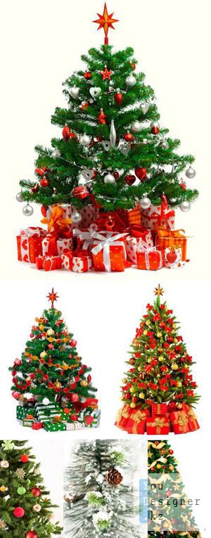 christmas_tree_1290377231.jpg (60.4 Kb)