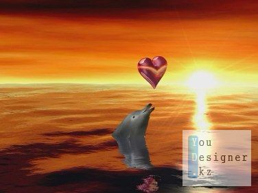 delfinserce.jpg (17.58 Kb)