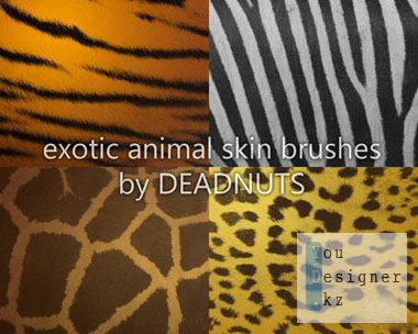 exotic_animal_skins_brushes_1299454072.jpeg (30.75 Kb)