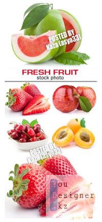 fresh_fruit_23.jpg (20.71 Kb)