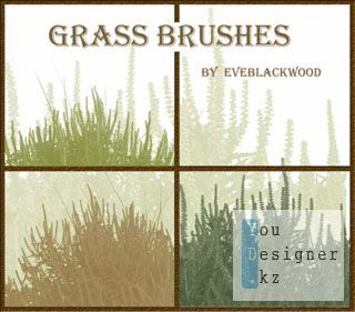 grassplant_brushes_by_1315176381.jpg (21.93 Kb)