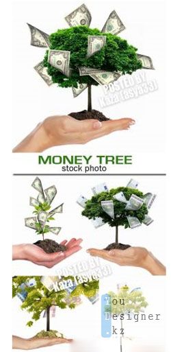 money_tree.jpg (25.94 Kb)