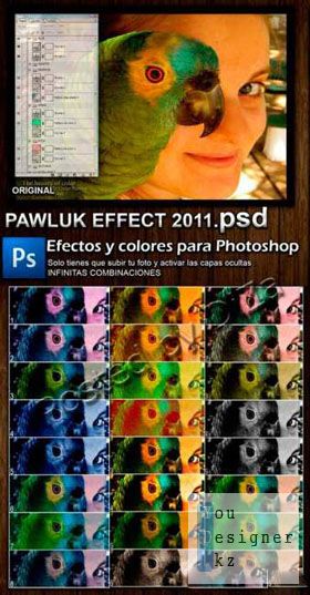 pawluk_effect_2011_1311466855.jpg (47.12 Kb)