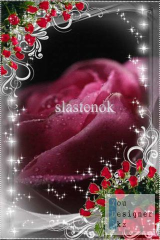 silver_and_roses_by_slastenok_1318450327.jpg (38.05 Kb)