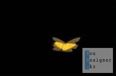-butterflyyellowreveal.jpg (5.11 Kb)