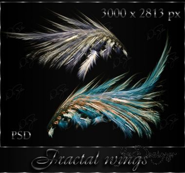 fractal-wings-by-diza.jpg (.84 Kb)