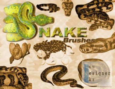 snakes-by-thorston-d4msaky-1327331999.jpg (55.1 Kb)
