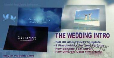 the-wedding-intro-1335383791.jpg (25.21 Kb)