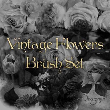 vintage-flowers-brush-set-1370556885.jpeg (61. Kb)