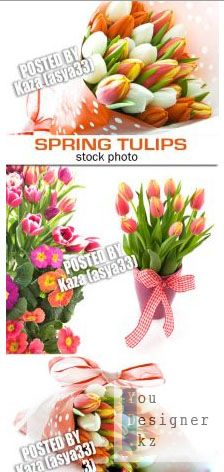 tulips_3.jpg (28.69 Kb)